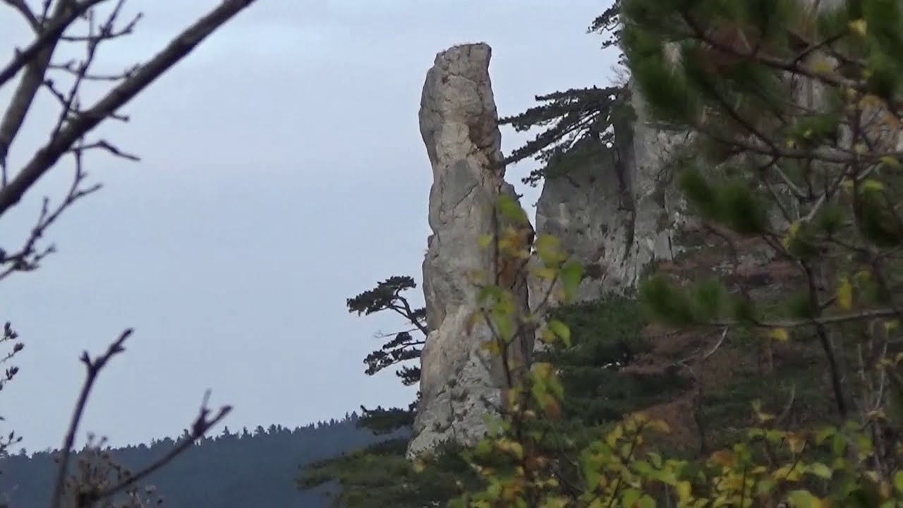 Ruine Emmerberg mit riesigen Versteinerungen