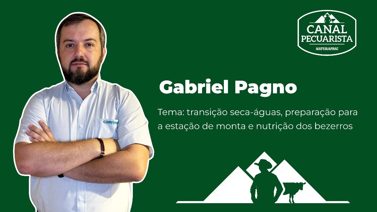 De Olho no Campo: transição seca-águas, preparação para a estação de monta e nutrição dos bezerros