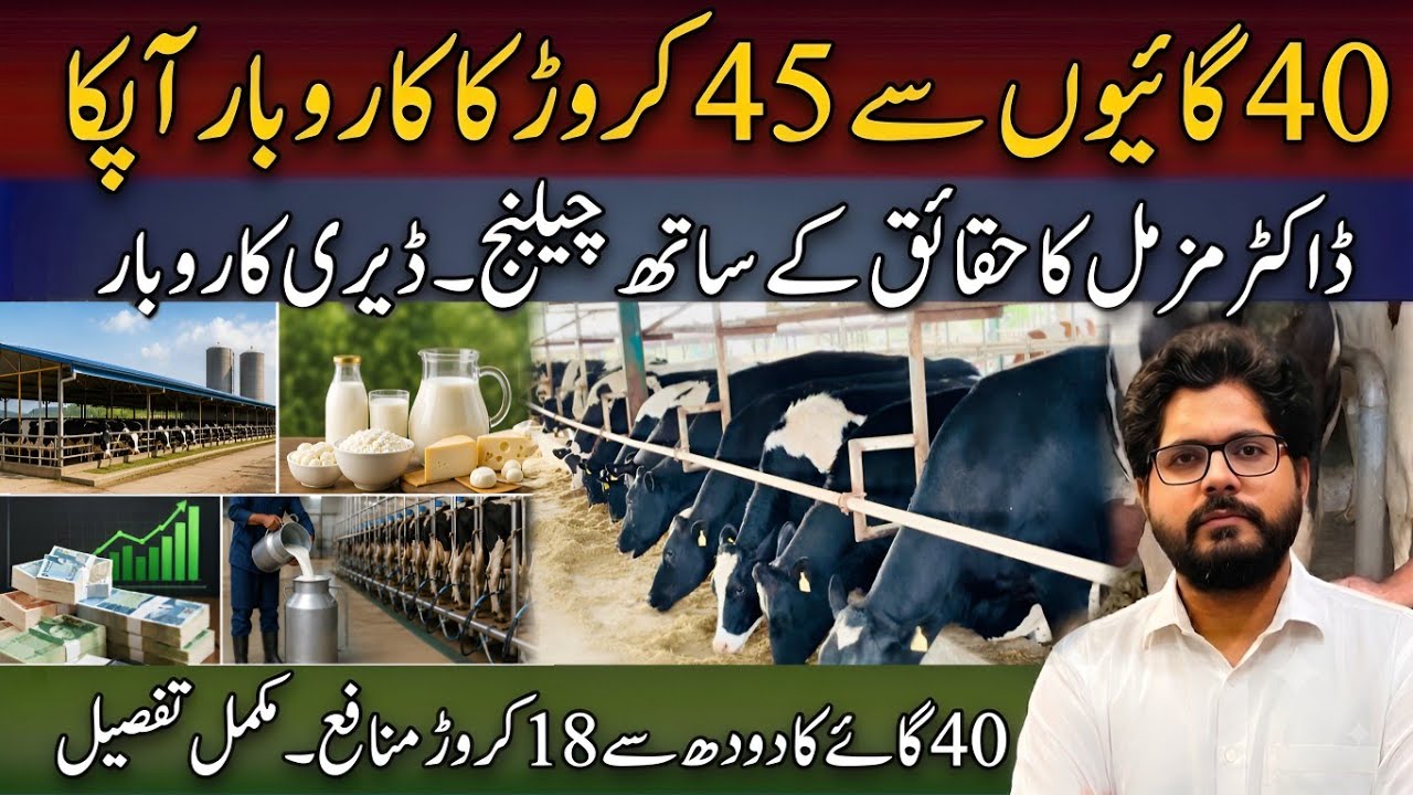 450 Million Business from 40 Cows || 180 Million Profit from 40 Cows || Dairy Business Huge Profi...