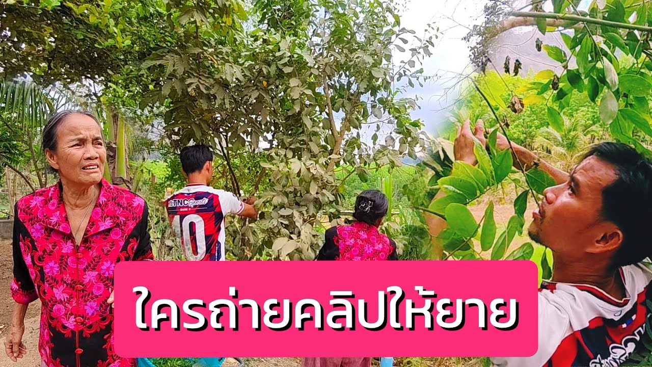 ใครถ่ายคลิปให้ยาย