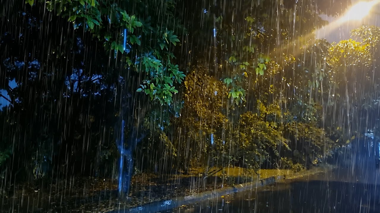 Relaxing Rainfall 🌧️ with Loud Thunder ASMR ⚡ Peaceful Front Yard Ambience for Sleep 😴 and Study