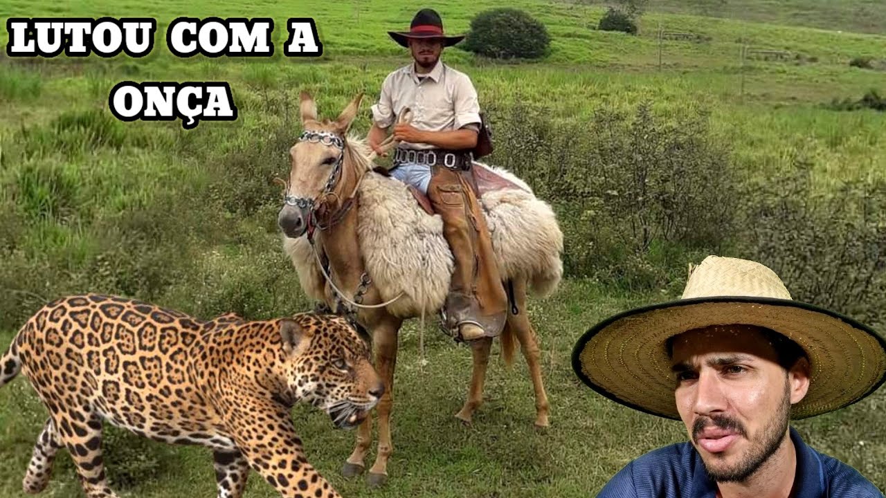 O Vaqueiro que a ONÇA pegou em cima da Mula na fazenda Três Marias.. Causos Caipiras