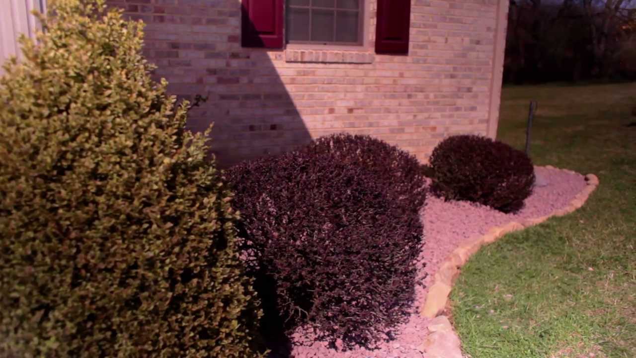 Replace Mulch with Stone