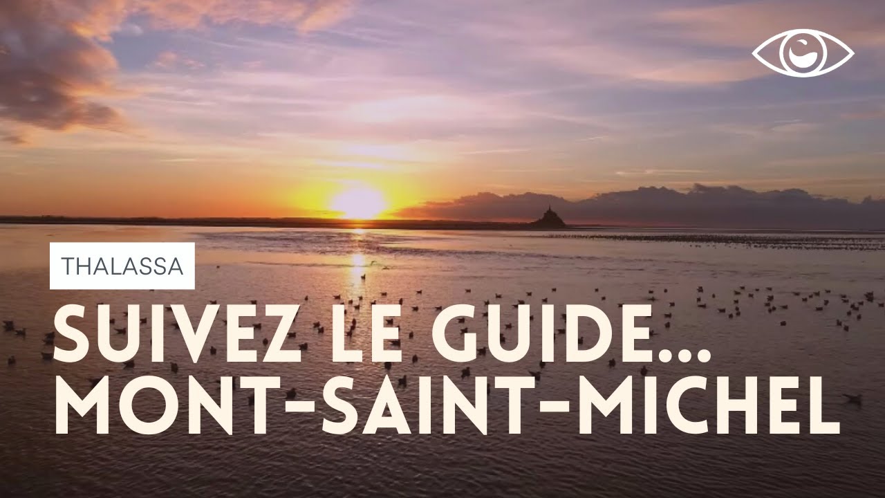 Comment devenir guide dans la baie du Mont-Saint-Michel ? Thalassa