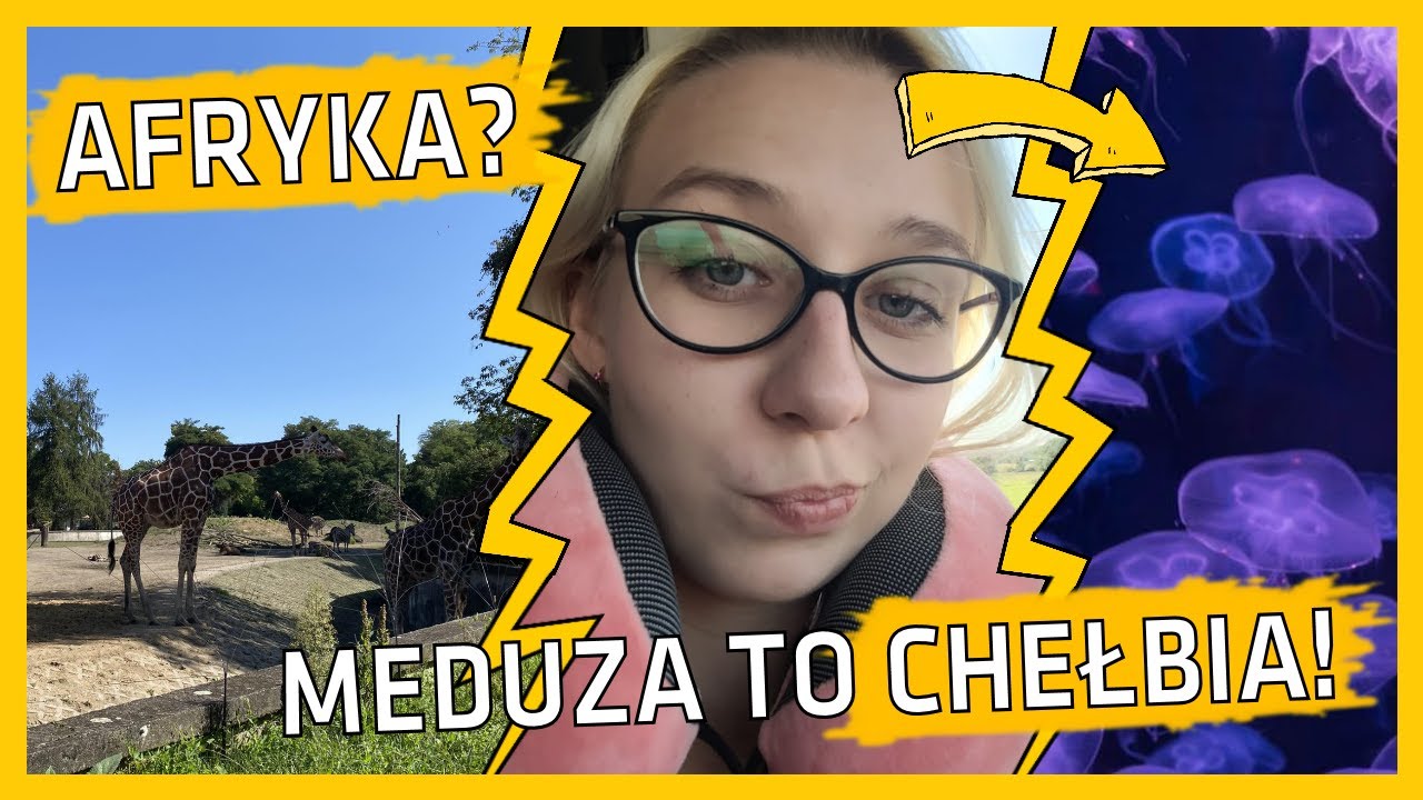 JEDZIEMY KAMPEREM DO ZOO WE WROCŁAWIU I ŚPIMY NA DZIKO!