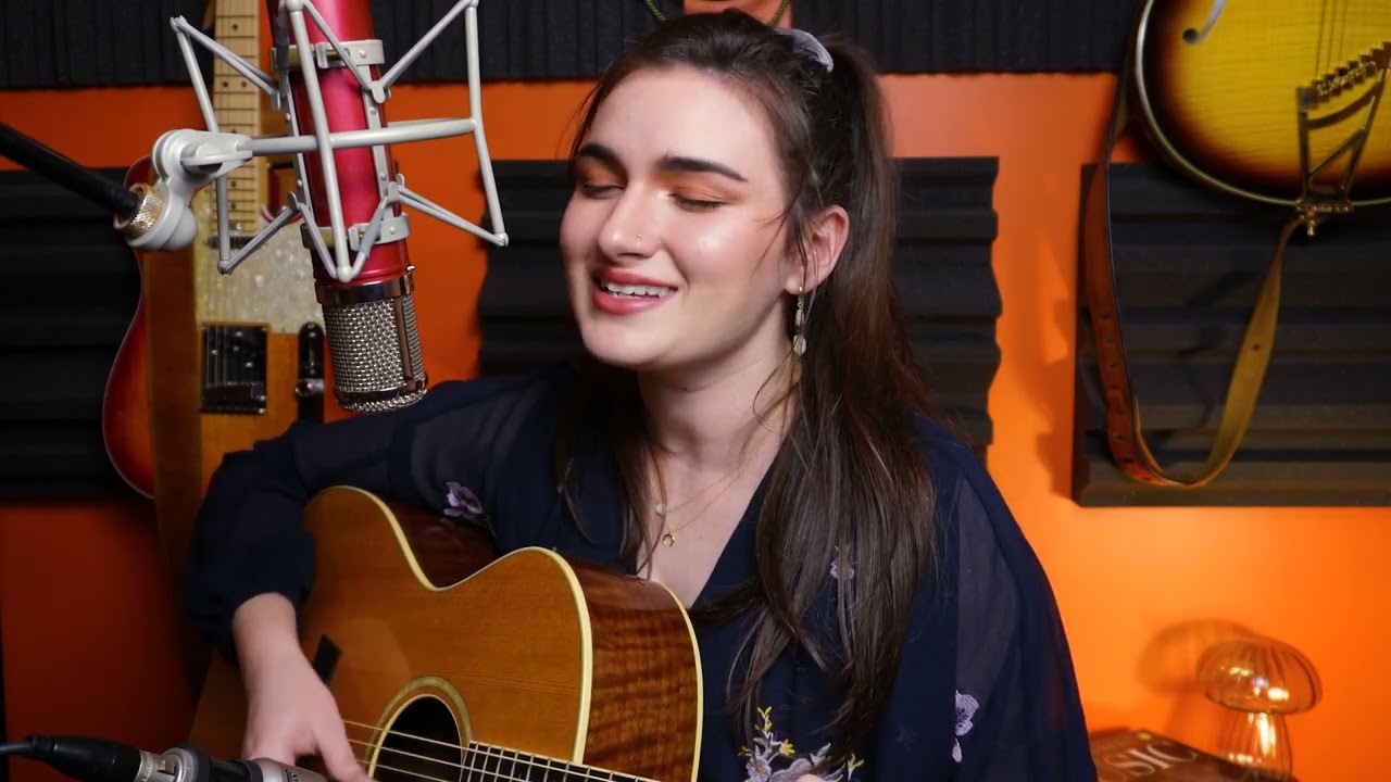 vincent (don mclean) - cover