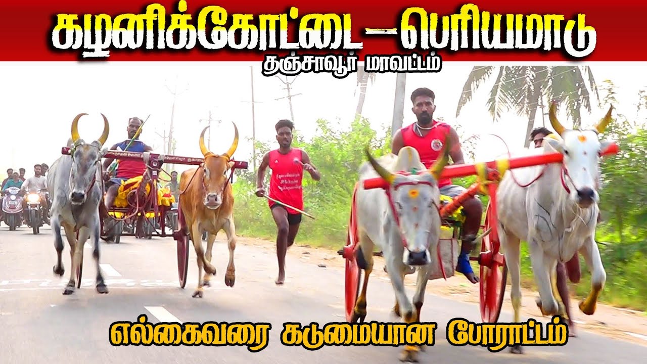 🛑தஞ்சாவூர் மாவட்டம், பேராவூரணி வட்டம் கழனிக்கோட்டை 28/02/2026