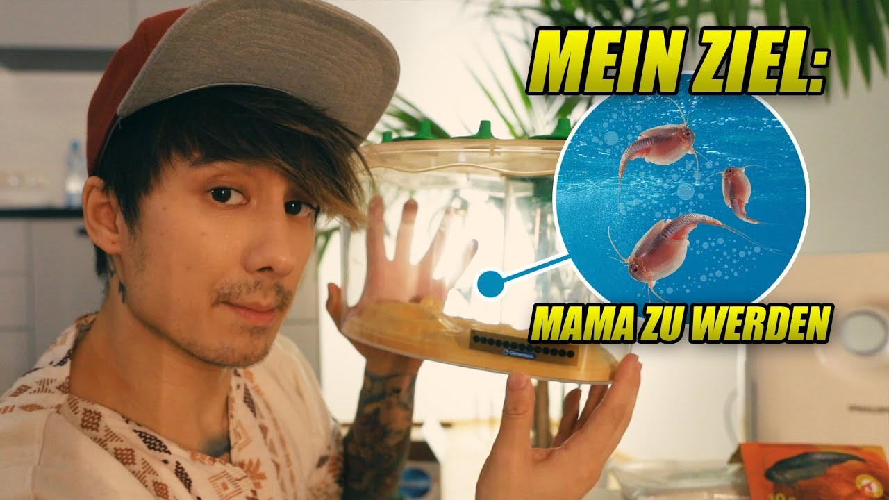 Ich züchte riesen URZEIT-KREBSE und übernehme dann diesen Planeten