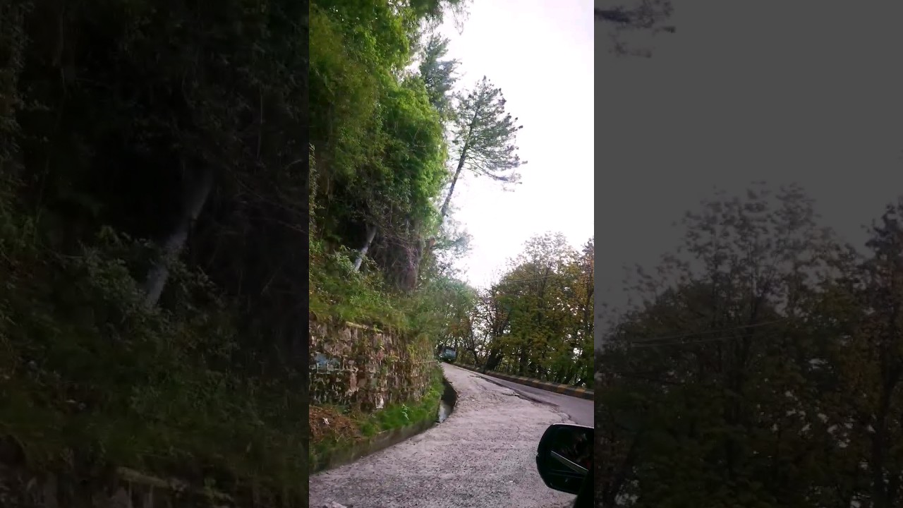 Beautiful Murree #adventure #tour #nature #murree