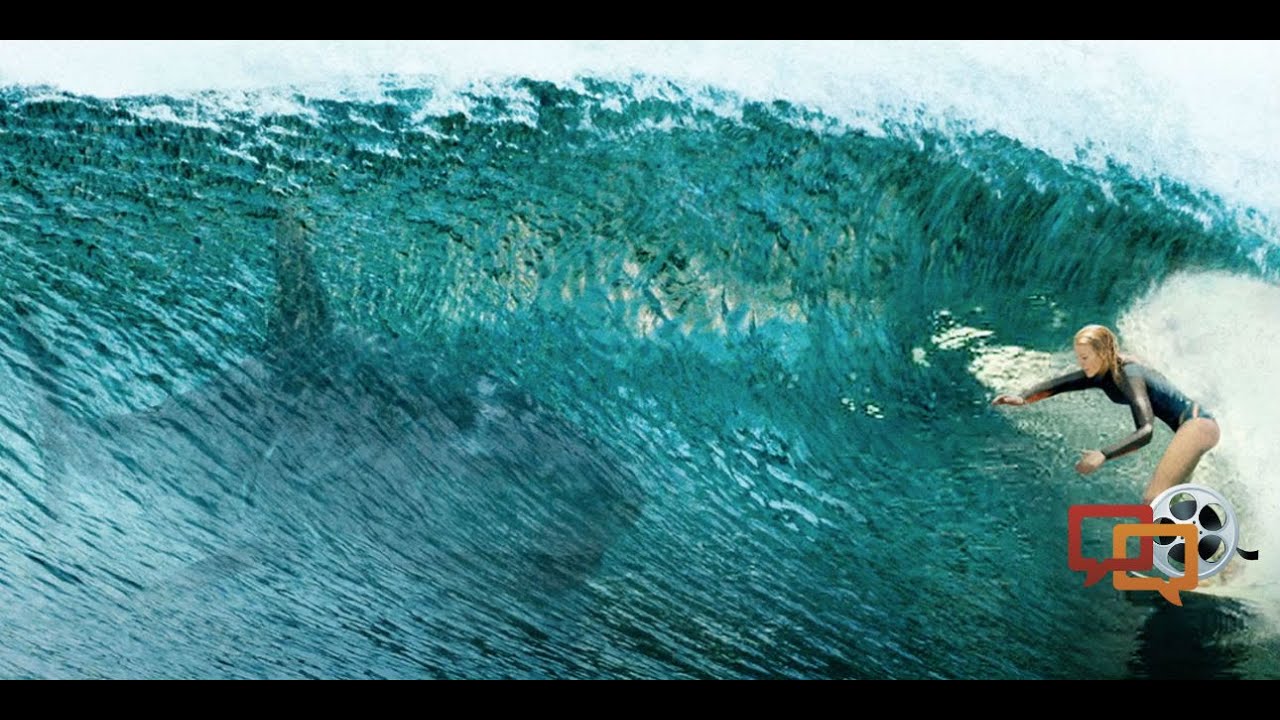 Film Fanatics  The Shallows and more