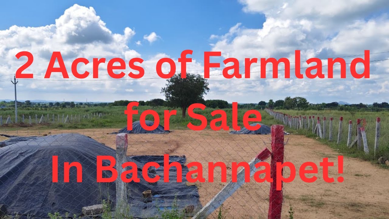 2 Acres Agriculture Land for Sale in Bachannapet | Revenue Pochampally Mandal | Direct Owner Deal