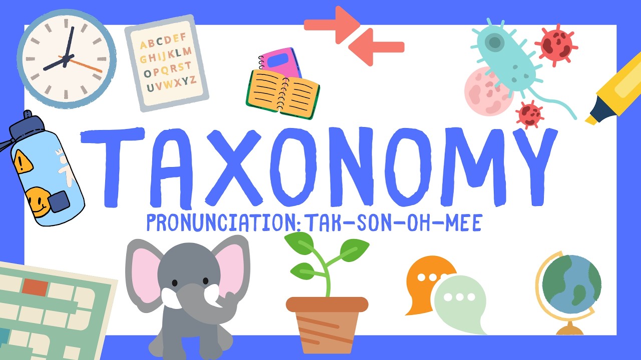 Taxonomy for Elementary Students