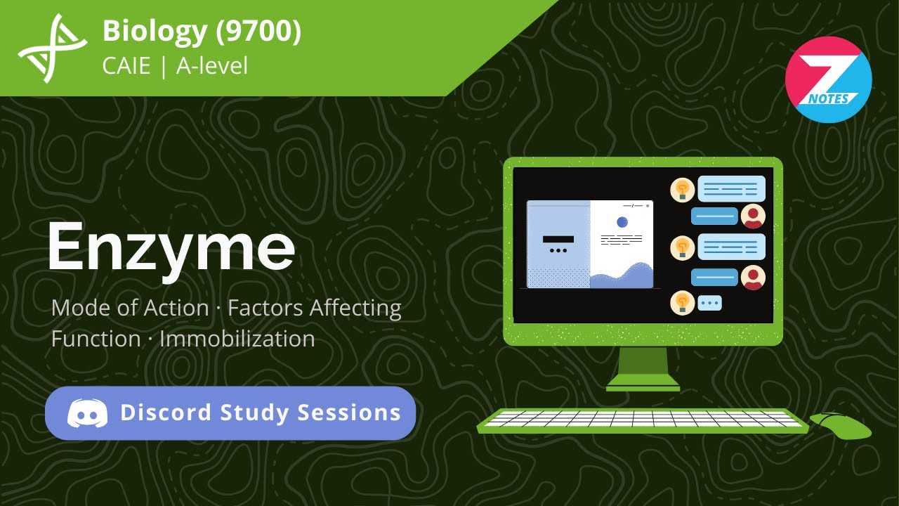 Enzyme | Biology AS Level | Discord Study Session