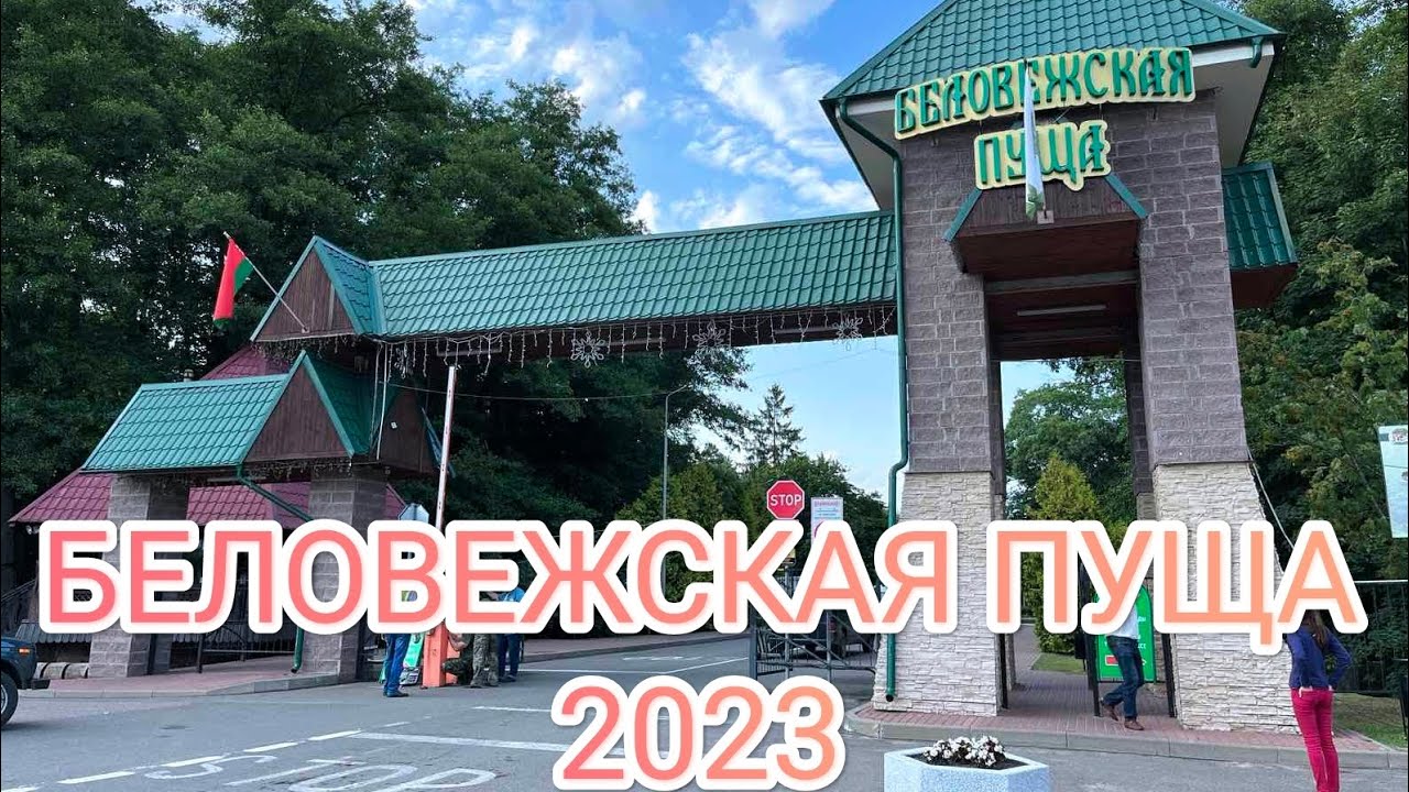 Беловежская пуща, лето 2023. Прогулка по вольерам, путешествие на велосипеде по маршруту и кафе🤤