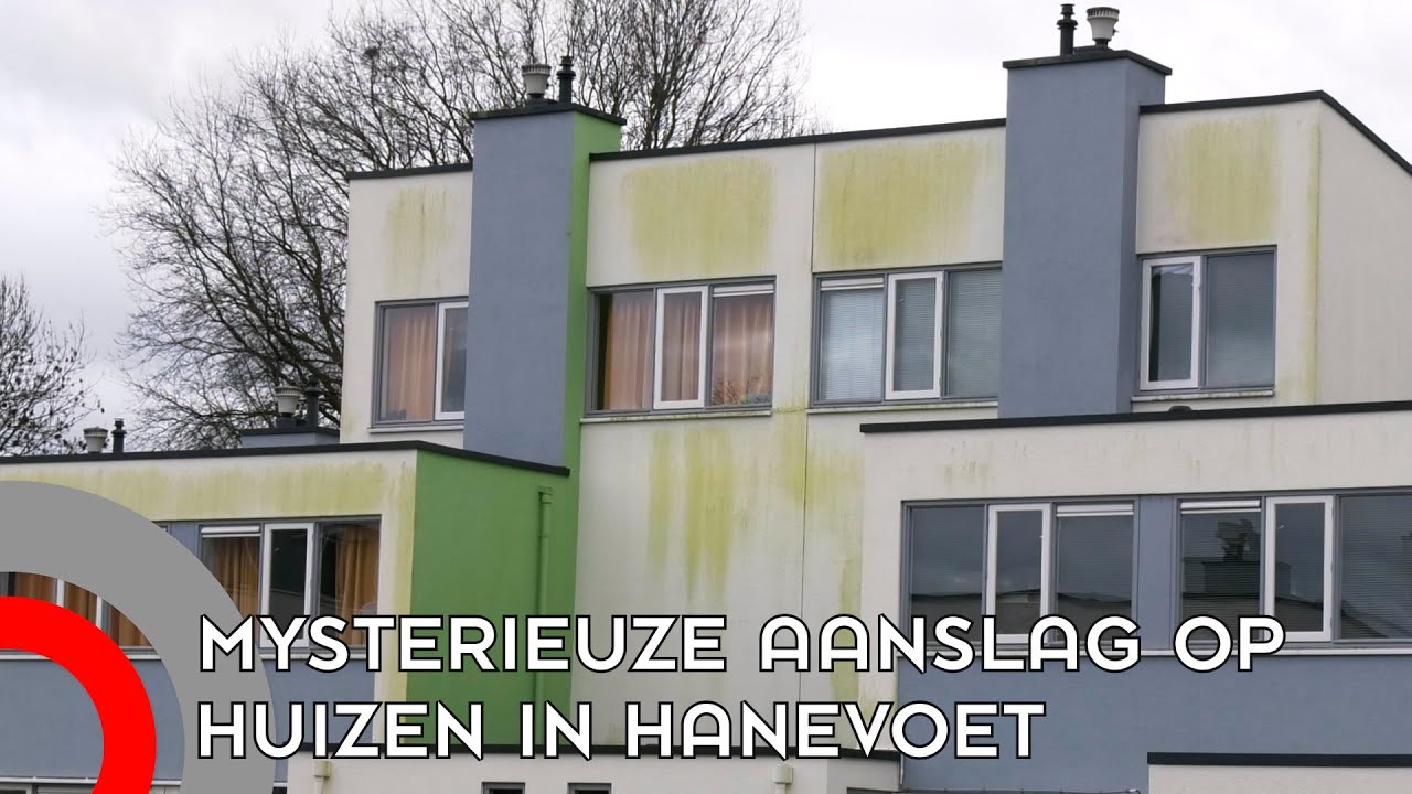 Mysterieuze groene aanslag op huizen in Hanevoet zorgt voor verbazing: 'Het is recent nog gewit'