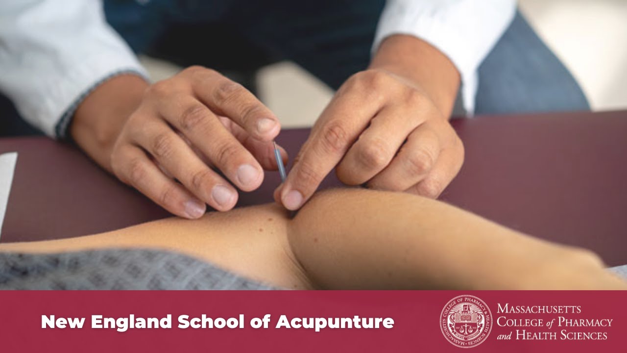 The MCPHS New England School of Acupuncture Experience