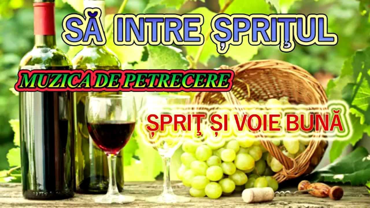 MUZICA DE PETRECERE - SA INTRE SPRITUL