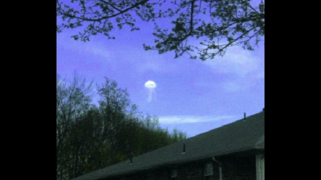 SCP-312  Atmospheric Jellyfish