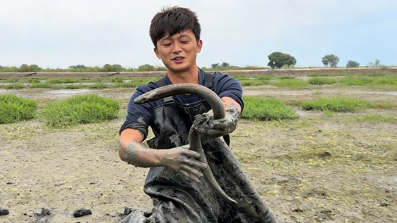 跟着否哥 800 塊盤塘，大鱔一條接一條，這抓捕過程也太爽了！#熱門 #fishing