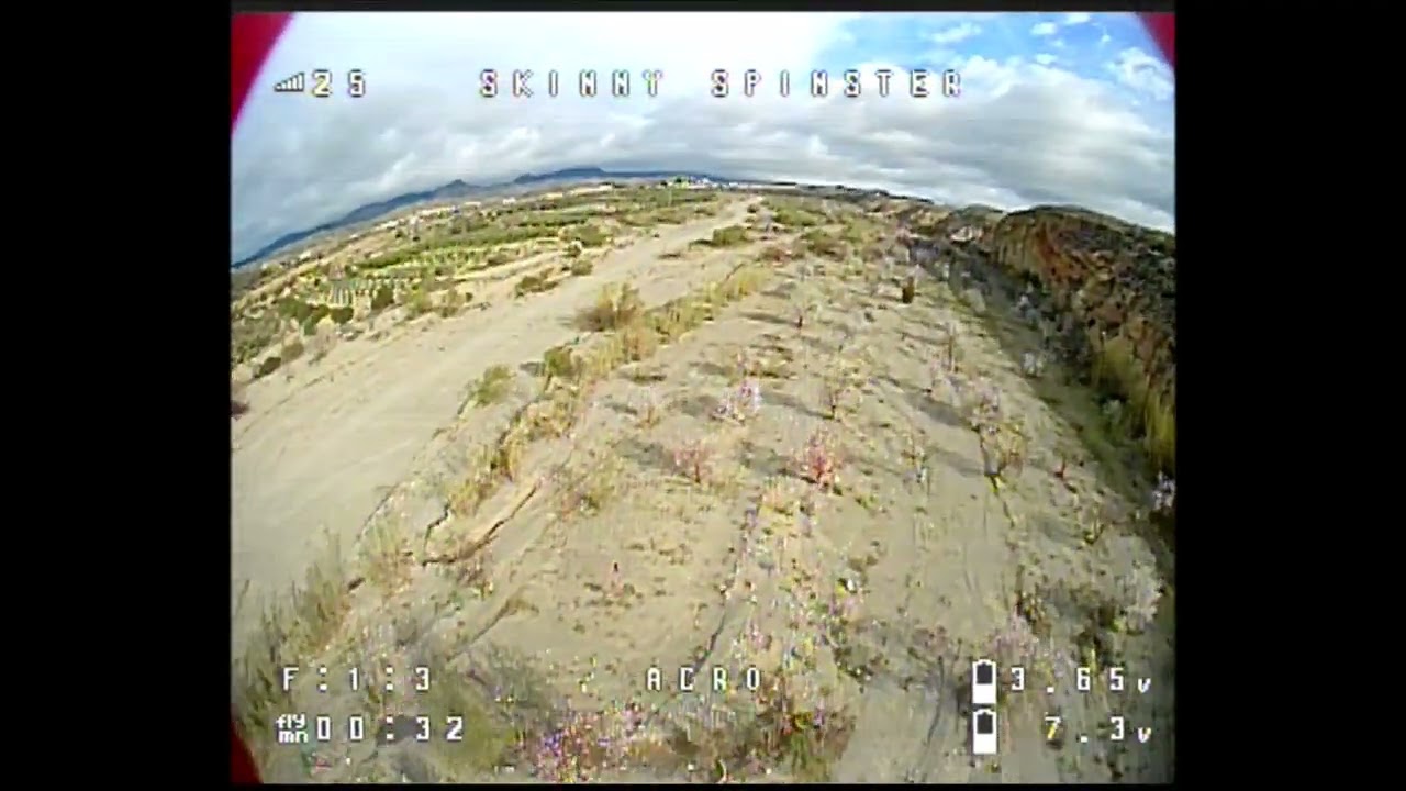 Skinny Spinster FPV: Wednesday Windy Blossoms
