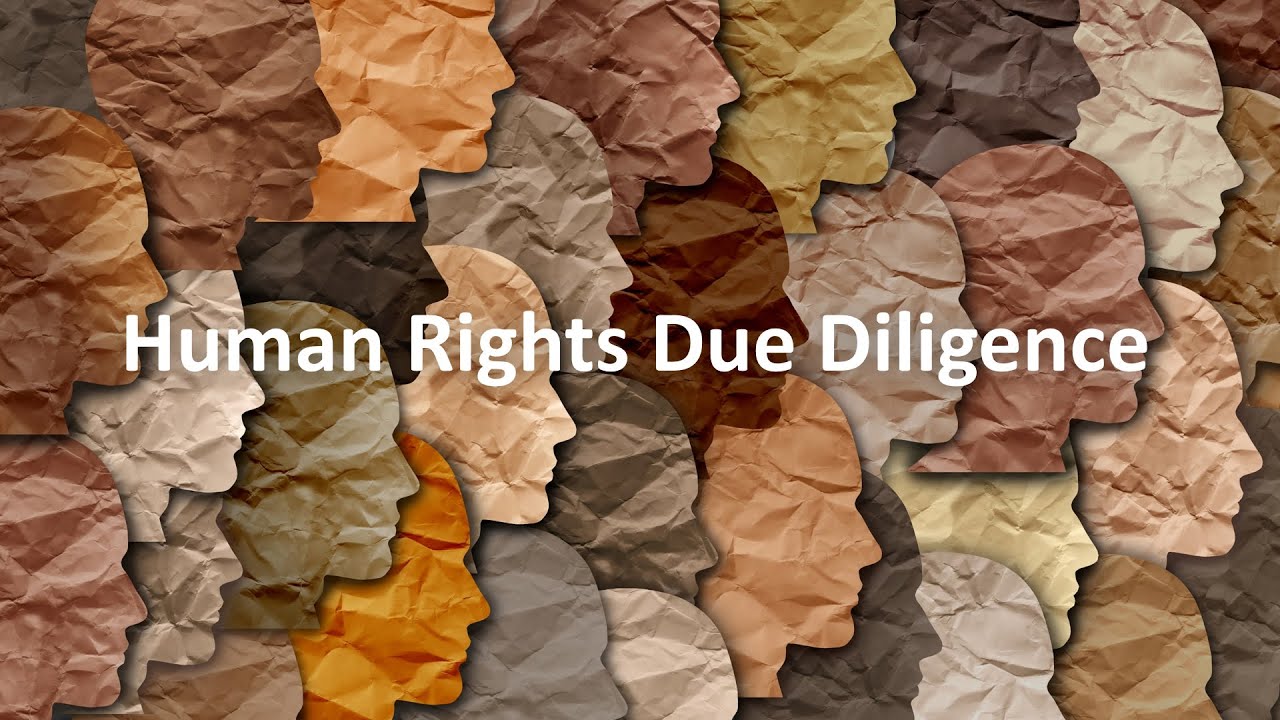 Human Rights Due Diligence
