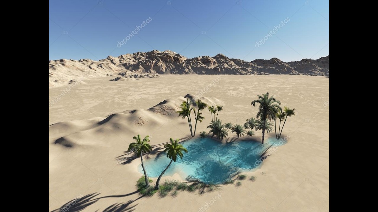 DesertJungle.mp4
