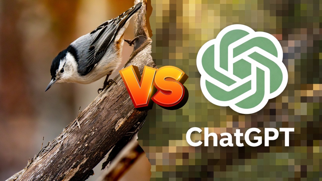 Photographer vs. AI: How to Edit Photos that CRUSH AI images in Lightroom