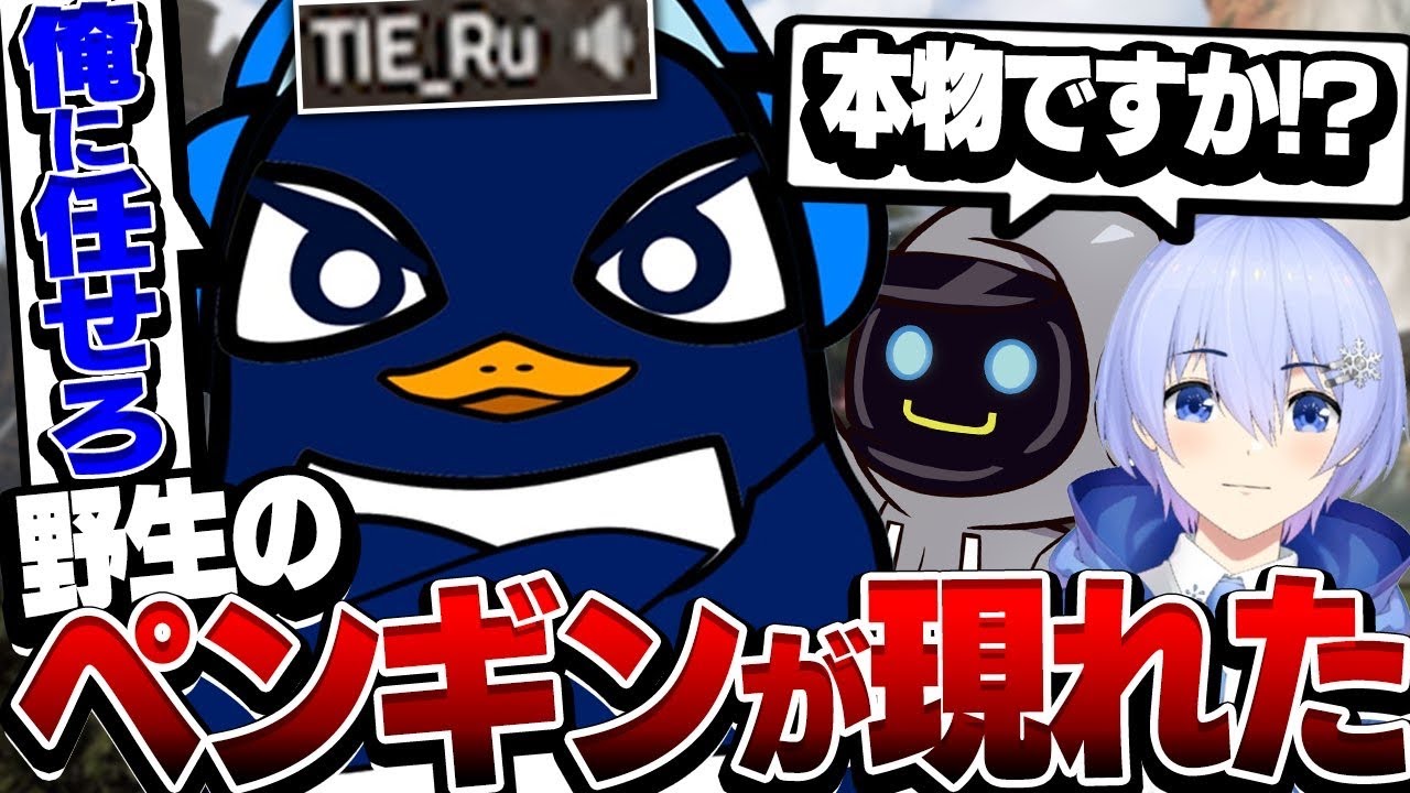 カジュアルを回していたら野生のRuさんが現れた！！【Apex Legends】