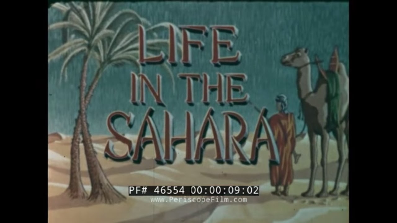 1953 LIFE IN THE SAHARA DESERT FILM  BEDOUINS, ARTESIAN WELLS & OASIS DOCUMENTARY  46554