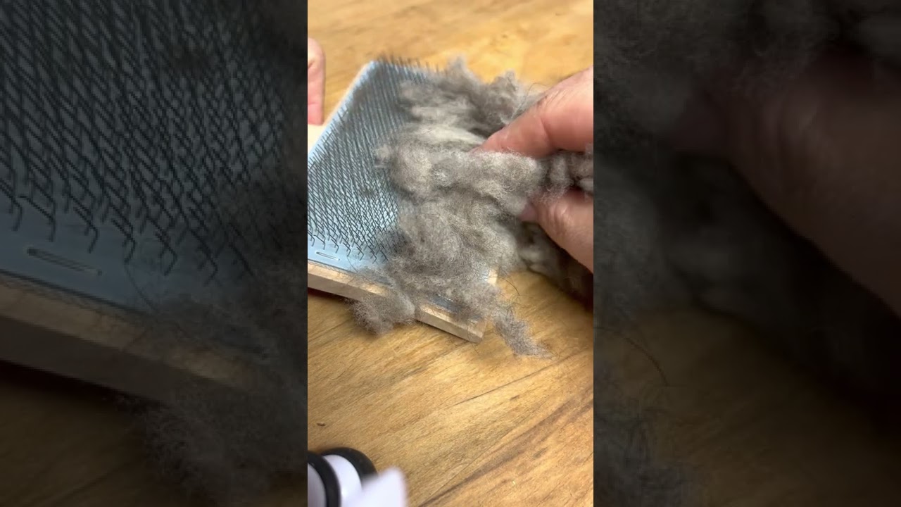 Carding Yak Fiber