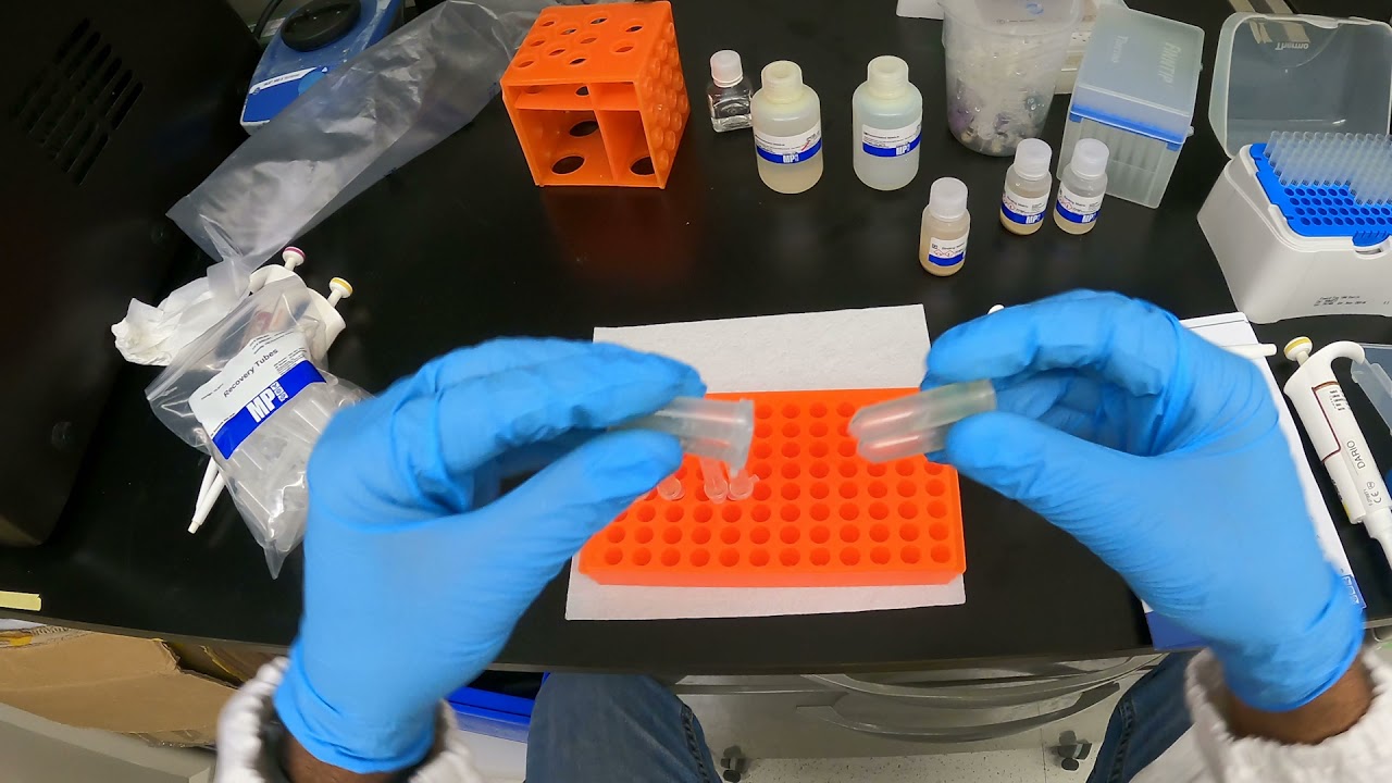 The DNA extraction process | FastDNA™ SPIN Kit for Soil