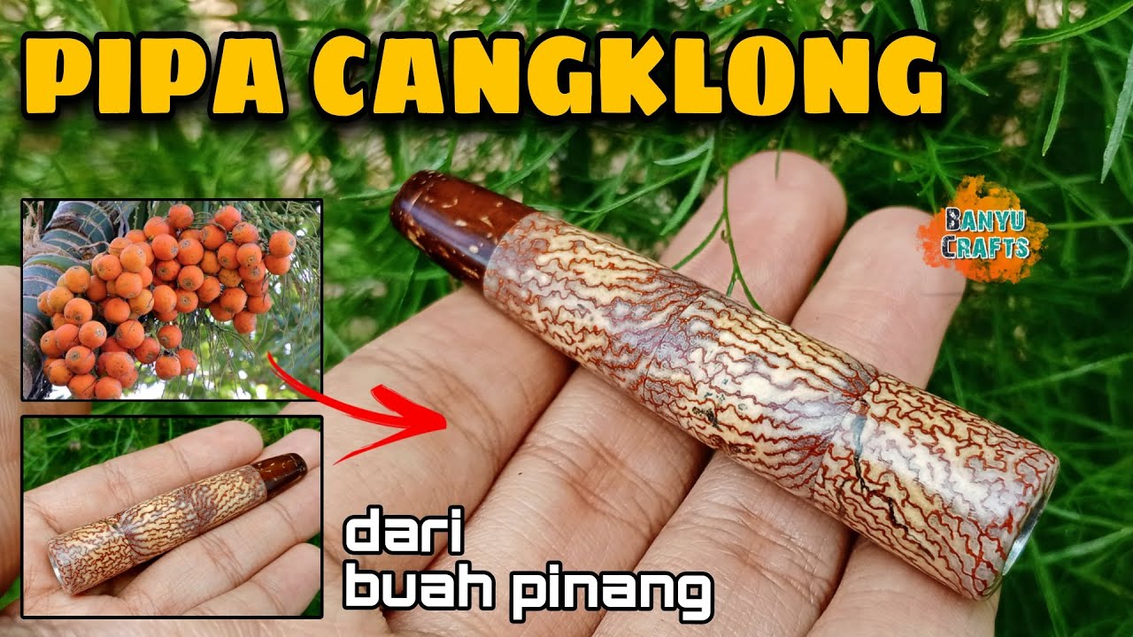 Buah pinang juga bisa dijadikan pipa cangklong.
