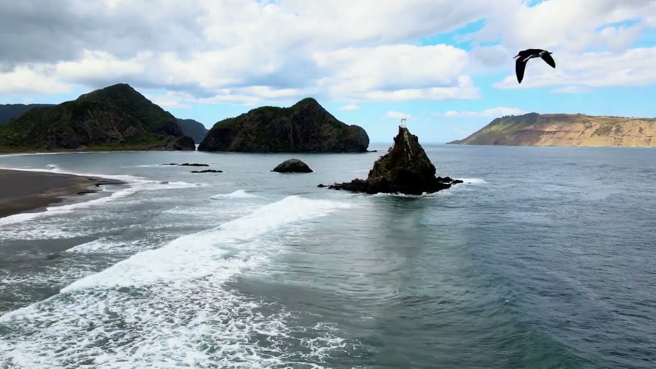 Whatipu Beach - A dreamy Summer day up high 4K