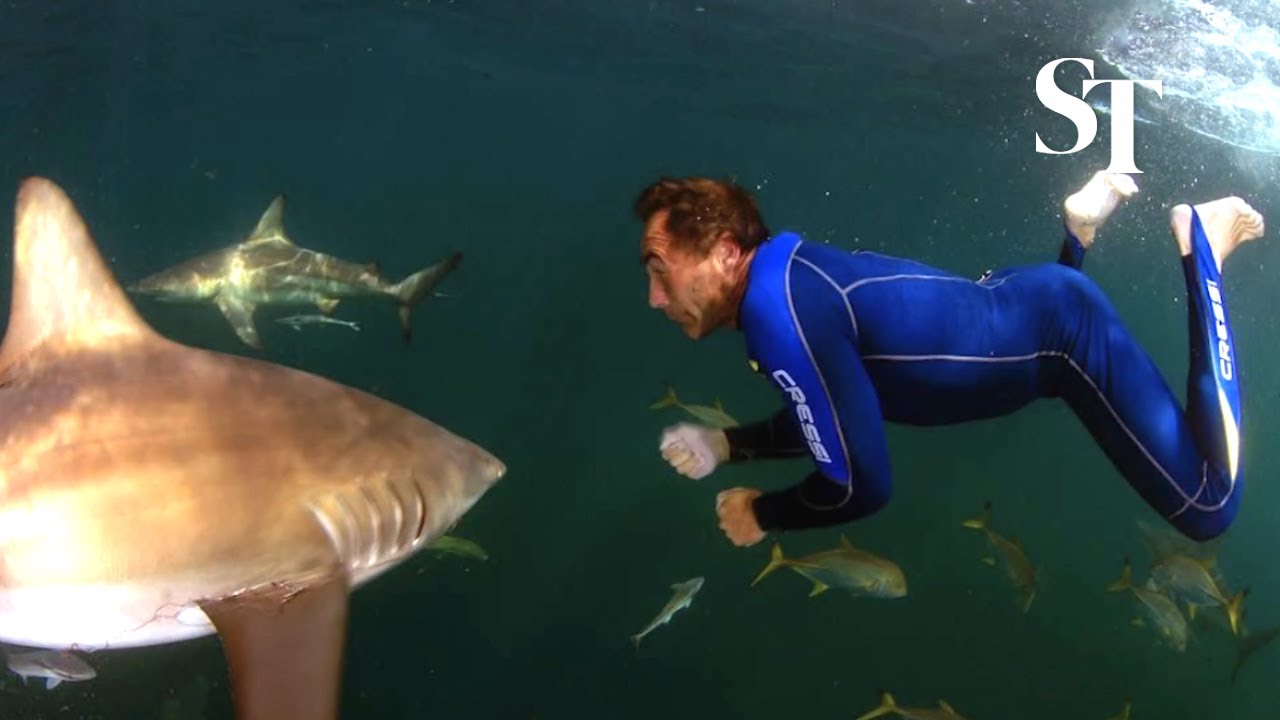 Adventurer Mike Horn's years of living dangerously | Turning Point