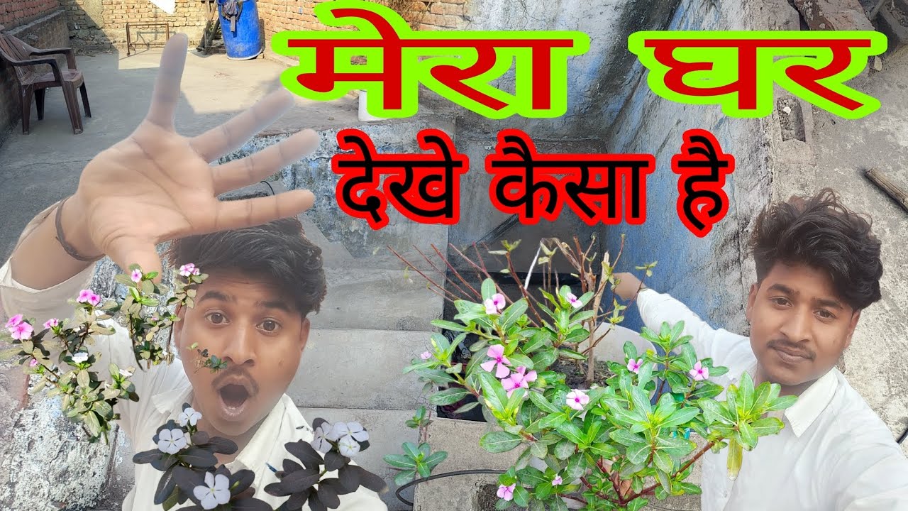 how is my house ! मेरा घर कैसा है!#vivekgaonwala #vlog #home #long#video 