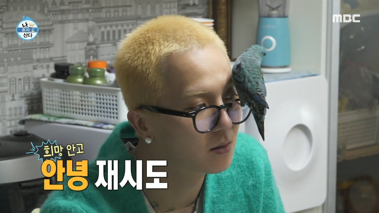 [나 혼자 산다] 민호의 앵무새 치피 ✨ 원래 같이 웃는데... 웃어주지 않는 치피, MBC 220128 방송