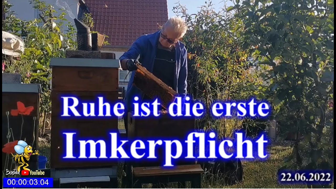 #Bienen nicht nur süßer #Honig