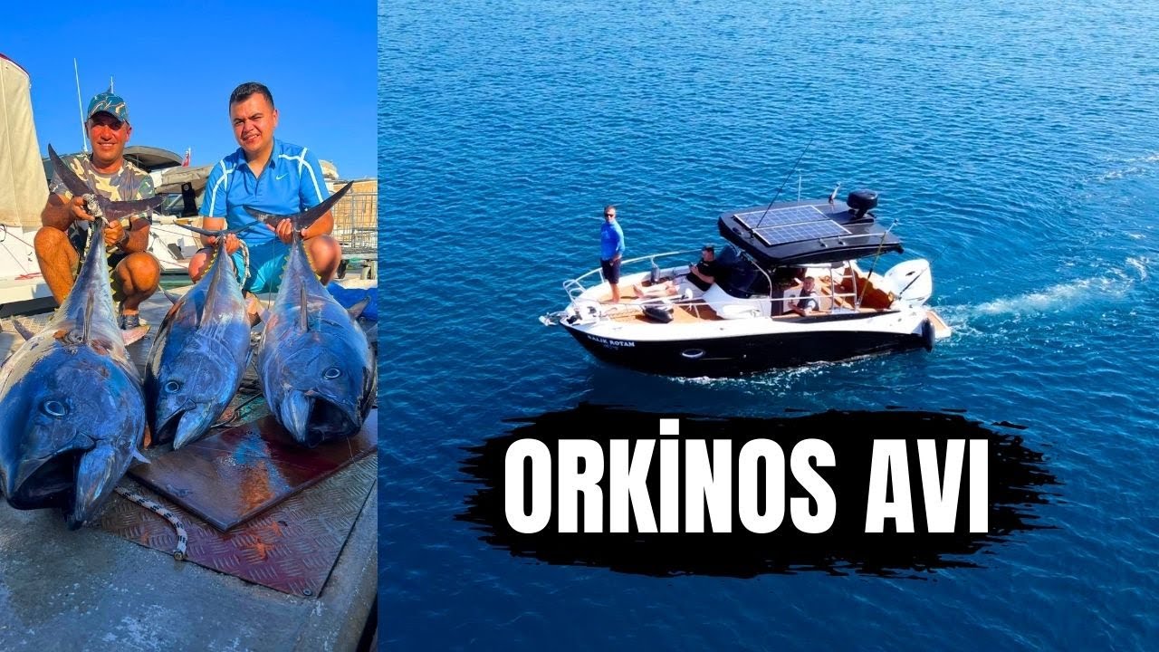 Orkinos Avı - Balık Avı - Tuna Fishing