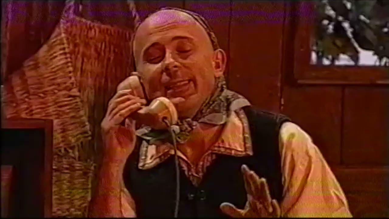 LEANA SI COSTEL - PRIVATIZARE