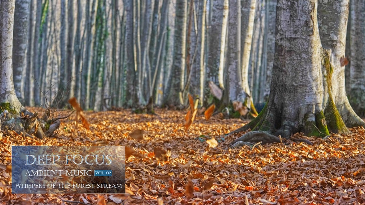 Deep Focus Ambient Music for Coding, Work & Study 💻 2H | Whispers of the Forest Stream | Vol. 02