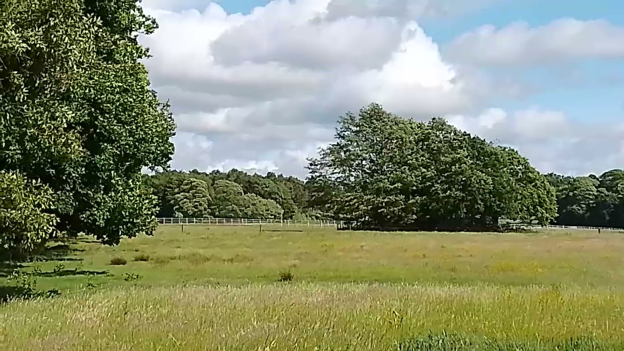 View Winter Hill TV mast over beautiful meadow from Euxton Lanc UK wild nature countryside outdoors