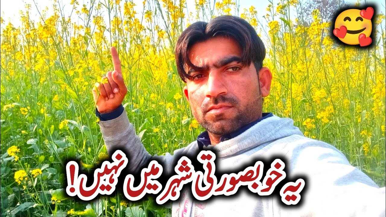سرسوں کی فصل میں یہ بڑی غلطی نہ کریں | Sarson Ki Fasal Ka Nuksan | Kisan Guide