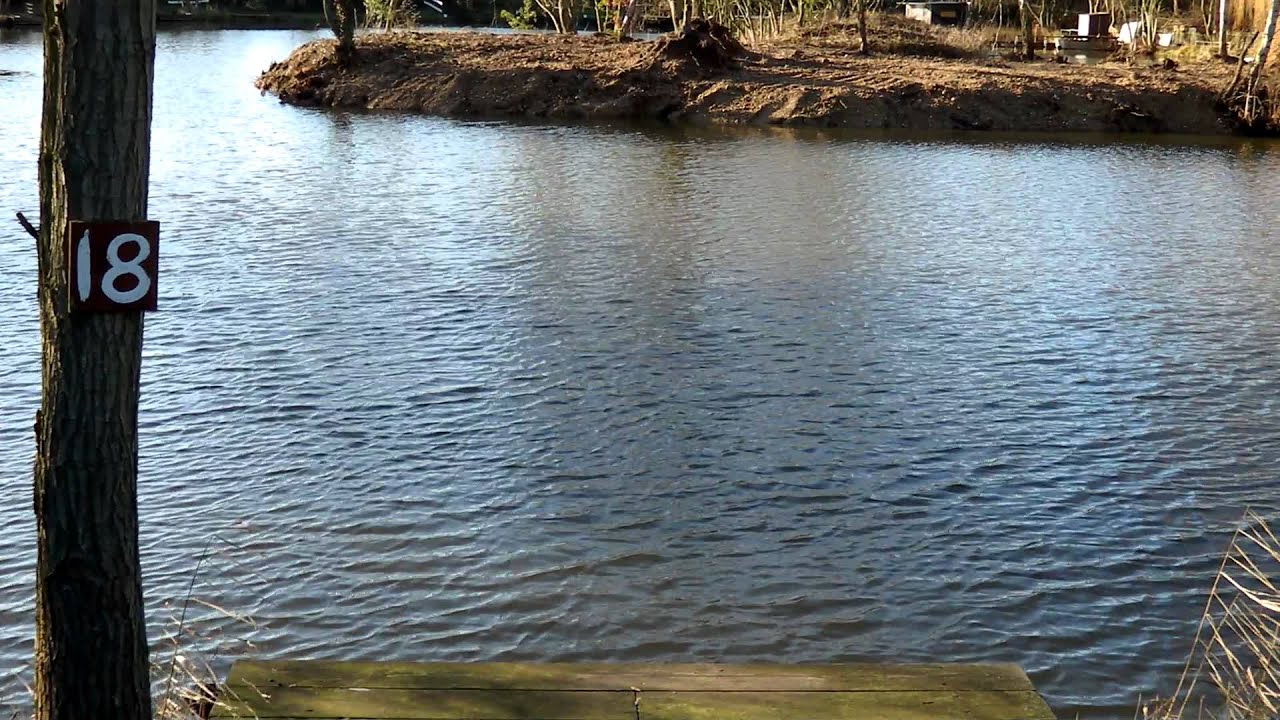 anniversary syndicate lake