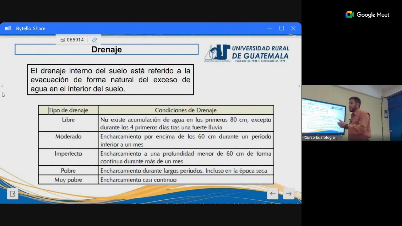 Semana 5 dia domingo