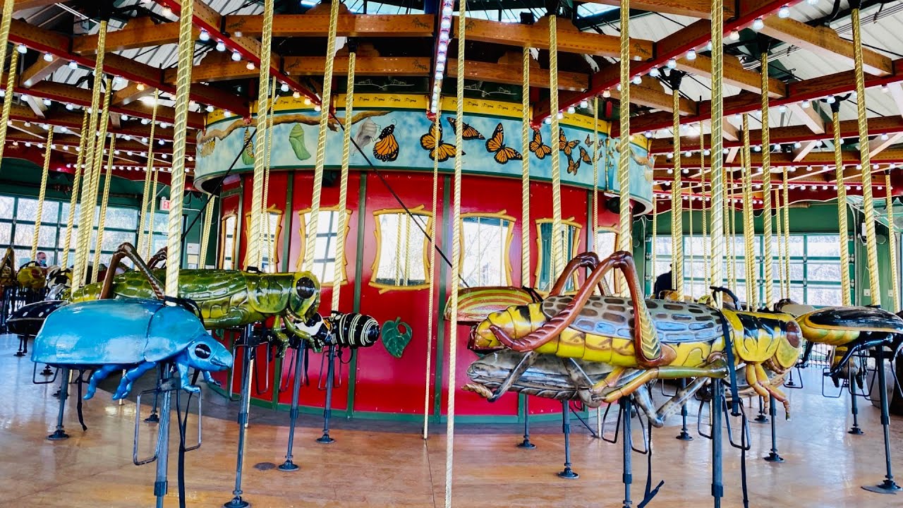 Adrito is having fun at the Carousel 🎠 ride in Bronx Zoo, New York, USA॥Kids Video