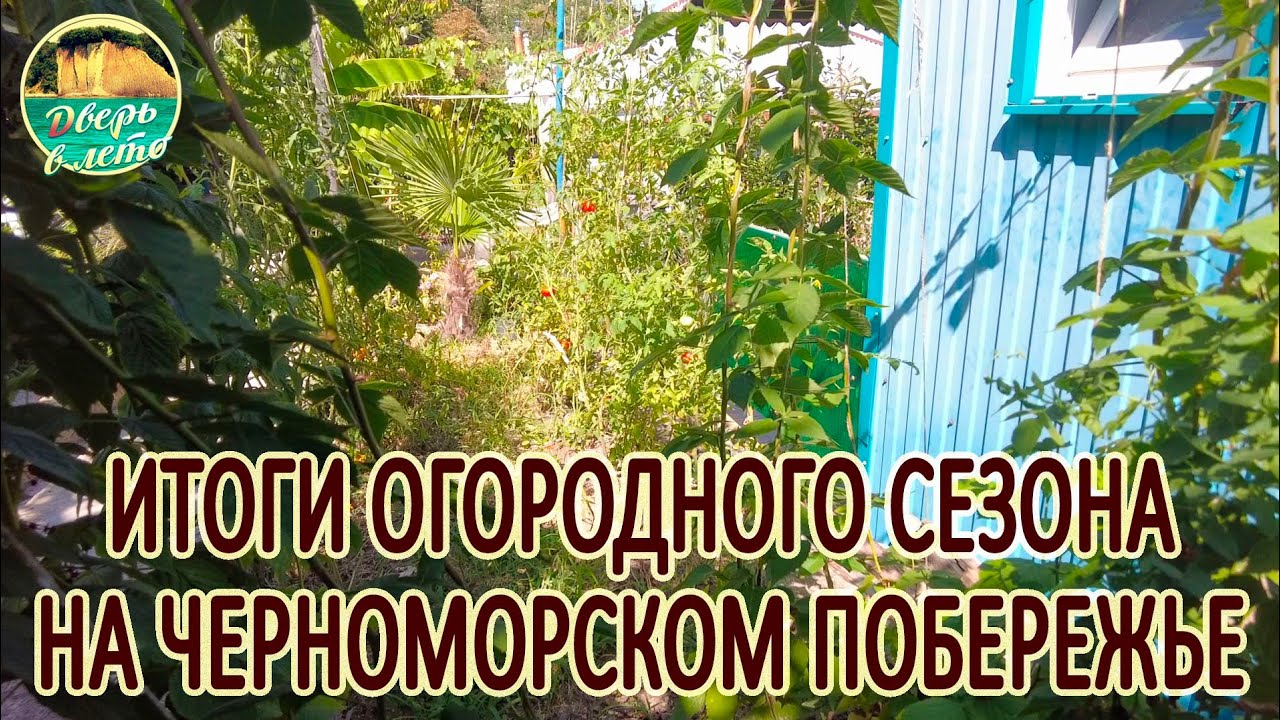 Огород на Черном море. Очередной опыт
