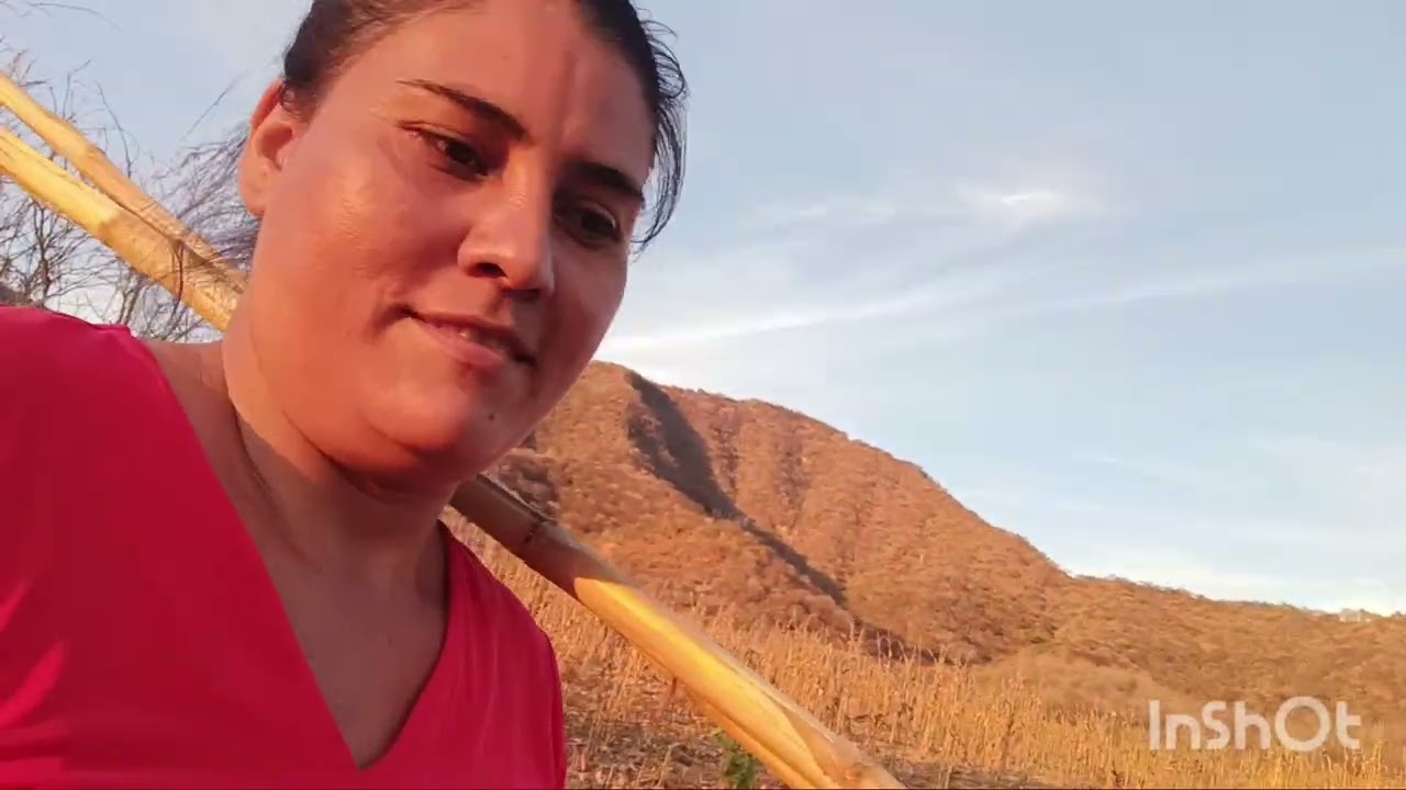 ✨️FUIMOS A TRAER  CAÑA PARA ASER UNOS NIDOS PARA LAS GALLINAS 🐤🐔🌳🌿