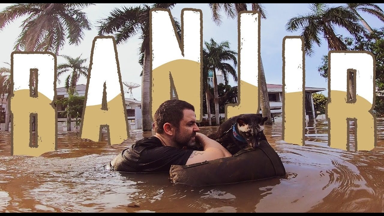 ⚠️ MENYELAMATKAN MUSANG DARI BANJIR ⚠️