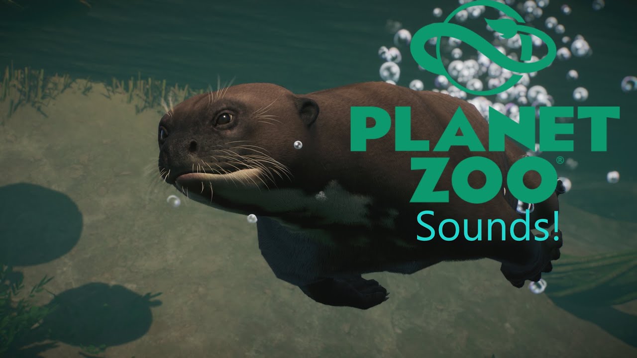 Planet Zoo Aquatic Pack: All Giant Otter Sound Effects