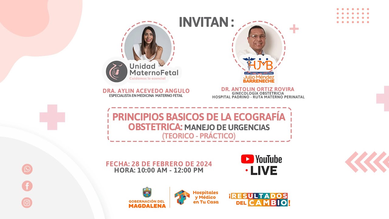 PRINCIPIOS BASICOS DE LA ECOGRAFIAOBSTETRICA: MANEJO DE URGENCIAS(TEORICO - PRÁCTICO)